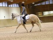 Image 51 in OPTIMUM EVENT MANAGEMENT. DRESSAGE AT MARTLEY HALL STUD. 15TH DEC. 2018