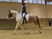 Image 6 in OPTIMUM EVENT MANAGEMENT. DRESSAGE AT MARTLEY HALL STUD. 15TH DEC. 2018