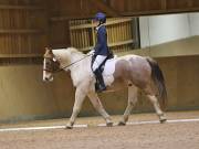 Image 7 in OPTIMUM EVENT MANAGEMENT. DRESSAGE AT MARTLEY HALL STUD. 15TH DEC. 2018