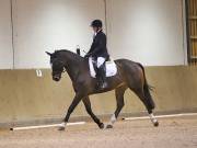 Image 83 in OPTIMUM EVENT MANAGEMENT. DRESSAGE AT MARTLEY HALL STUD. 15TH DEC. 2018