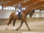 Image 9 in OPTIMUM EVENT MANAGEMENT. DRESSAGE AT MARTLEY HALL STUD. 15TH DEC. 2018