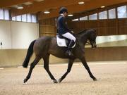 Image 93 in OPTIMUM EVENT MANAGEMENT. DRESSAGE AT MARTLEY HALL STUD. 15TH DEC. 2018