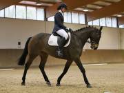 Image 99 in OPTIMUM EVENT MANAGEMENT. DRESSAGE AT MARTLEY HALL STUD. 15TH DEC. 2018