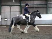 Image 103 in NEWTON HALL EQUITATION LTD. DRESSAGE. 12 JAN. 2019