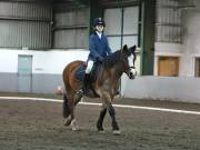 Image 110 in NEWTON HALL EQUITATION LTD. DRESSAGE. 12 JAN. 2019