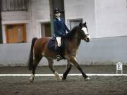 Image 112 in NEWTON HALL EQUITATION LTD. DRESSAGE. 12 JAN. 2019