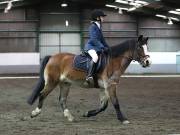 Image 113 in NEWTON HALL EQUITATION LTD. DRESSAGE. 12 JAN. 2019