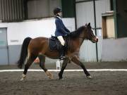 Image 116 in NEWTON HALL EQUITATION LTD. DRESSAGE. 12 JAN. 2019