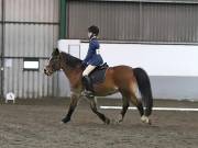 Image 119 in NEWTON HALL EQUITATION LTD. DRESSAGE. 12 JAN. 2019