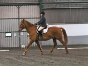 Image 12 in NEWTON HALL EQUITATION LTD. DRESSAGE. 12 JAN. 2019