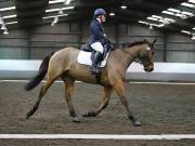 Image 121 in NEWTON HALL EQUITATION LTD. DRESSAGE. 12 JAN. 2019