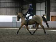 Image 122 in NEWTON HALL EQUITATION LTD. DRESSAGE. 12 JAN. 2019