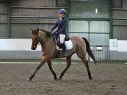 Image 125 in NEWTON HALL EQUITATION LTD. DRESSAGE. 12 JAN. 2019