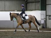 Image 126 in NEWTON HALL EQUITATION LTD. DRESSAGE. 12 JAN. 2019