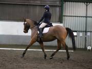 Image 127 in NEWTON HALL EQUITATION LTD. DRESSAGE. 12 JAN. 2019