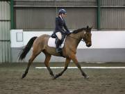 Image 128 in NEWTON HALL EQUITATION LTD. DRESSAGE. 12 JAN. 2019