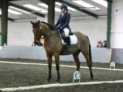 Image 132 in NEWTON HALL EQUITATION LTD. DRESSAGE. 12 JAN. 2019