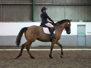 Image 133 in NEWTON HALL EQUITATION LTD. DRESSAGE. 12 JAN. 2019