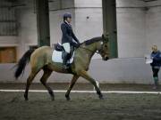 Image 134 in NEWTON HALL EQUITATION LTD. DRESSAGE. 12 JAN. 2019