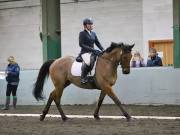 Image 136 in NEWTON HALL EQUITATION LTD. DRESSAGE. 12 JAN. 2019