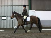 Image 139 in NEWTON HALL EQUITATION LTD. DRESSAGE. 12 JAN. 2019