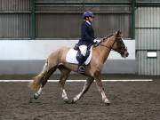 Image 141 in NEWTON HALL EQUITATION LTD. DRESSAGE. 12 JAN. 2019