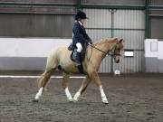 Image 142 in NEWTON HALL EQUITATION LTD. DRESSAGE. 12 JAN. 2019