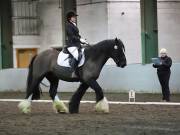 Image 144 in NEWTON HALL EQUITATION LTD. DRESSAGE. 12 JAN. 2019