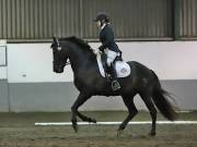 Image 151 in NEWTON HALL EQUITATION LTD. DRESSAGE. 12 JAN. 2019