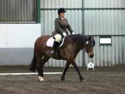 Image 159 in NEWTON HALL EQUITATION LTD. DRESSAGE. 12 JAN. 2019