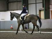 Image 16 in NEWTON HALL EQUITATION LTD. DRESSAGE. 12 JAN. 2019