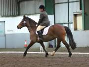 Image 160 in NEWTON HALL EQUITATION LTD. DRESSAGE. 12 JAN. 2019