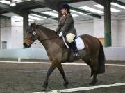 Image 161 in NEWTON HALL EQUITATION LTD. DRESSAGE. 12 JAN. 2019