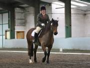 Image 162 in NEWTON HALL EQUITATION LTD. DRESSAGE. 12 JAN. 2019