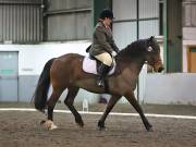 Image 164 in NEWTON HALL EQUITATION LTD. DRESSAGE. 12 JAN. 2019