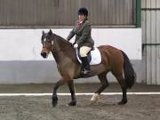 Image 166 in NEWTON HALL EQUITATION LTD. DRESSAGE. 12 JAN. 2019