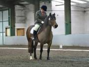 Image 168 in NEWTON HALL EQUITATION LTD. DRESSAGE. 12 JAN. 2019