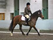 Image 169 in NEWTON HALL EQUITATION LTD. DRESSAGE. 12 JAN. 2019