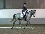Image 179 in NEWTON HALL EQUITATION LTD. DRESSAGE. 12 JAN. 2019