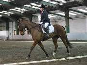 Image 18 in NEWTON HALL EQUITATION LTD. DRESSAGE. 12 JAN. 2019