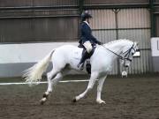 Image 197 in NEWTON HALL EQUITATION LTD. DRESSAGE. 12 JAN. 2019