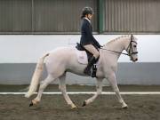 Image 211 in NEWTON HALL EQUITATION LTD. DRESSAGE. 12 JAN. 2019