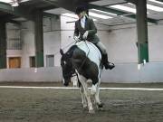 Image 213 in NEWTON HALL EQUITATION LTD. DRESSAGE. 12 JAN. 2019