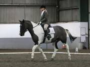 Image 215 in NEWTON HALL EQUITATION LTD. DRESSAGE. 12 JAN. 2019