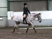 Image 22 in NEWTON HALL EQUITATION LTD. DRESSAGE. 12 JAN. 2019