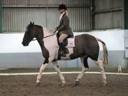 Image 220 in NEWTON HALL EQUITATION LTD. DRESSAGE. 12 JAN. 2019