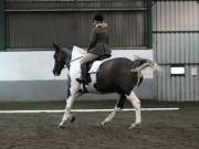 Image 225 in NEWTON HALL EQUITATION LTD. DRESSAGE. 12 JAN. 2019