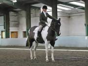 Image 229 in NEWTON HALL EQUITATION LTD. DRESSAGE. 12 JAN. 2019