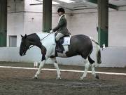 Image 232 in NEWTON HALL EQUITATION LTD. DRESSAGE. 12 JAN. 2019