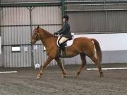 Image 242 in NEWTON HALL EQUITATION LTD. DRESSAGE. 12 JAN. 2019